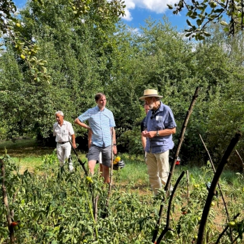 Inter Kultur Garten Pfaffenhofen