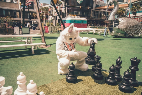 Osterhase sucht Ei im Schachbrett | Foto von Kenny Eliason auf Unsplash